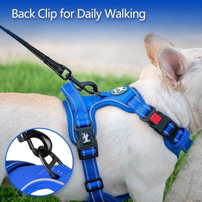 PoyPet No Pull Dog Harness, Reflective Vest with 2 Leash Clips & Handle | Lockable Neck Release Buckle, No Choke, Adjustable, Soft Padded, for Walking Training, Royal Blue, Large - Image 4