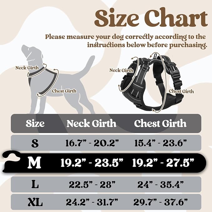 rabbitgoo Dog Harness Medium Sized, Updated Easy On & Off with 3 Buckles | No Pull No Choke, Walking with 2 Clips and Handle, Adjustable Soft Reflective, Sky Blue, Medium - Image 2