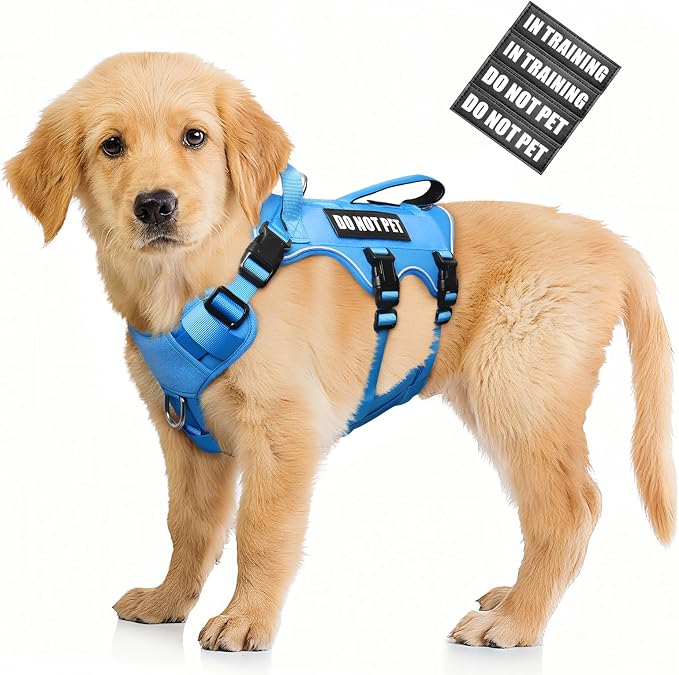 WINSEE Escape Proof Dog Harness with Double Handle+4 Removable Patches | Service Working Molle Harness with Double Handle for Small Dogs, Tactical Pet Reflective Vest for Walking Hiking Hunting by WINSEE