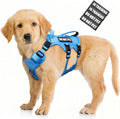 WINSEE Escape Proof Dog Harness with Double Handle+4 Removable Patches | Service Working Molle Harness with Double Handle for Small Dogs, Tactical Pet Reflective Vest for Walking Hiking Hunting by WINSEE