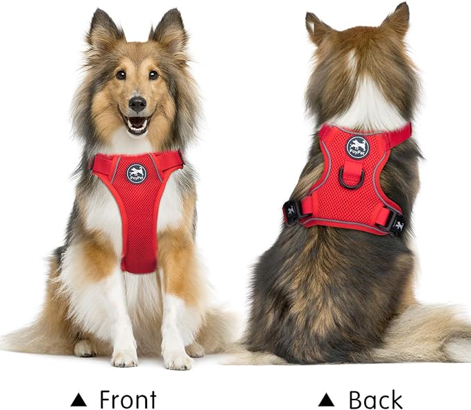 PoyPet Mesh Dog Harness, Reflective Breathable Puppy Vest for Small Dogs | Lightweight, Soft Air Mesh, Back D-ring, Adjustable, Comfortable, Double Padded, No Choke, for Daily Walking, XS, Red - Image 2