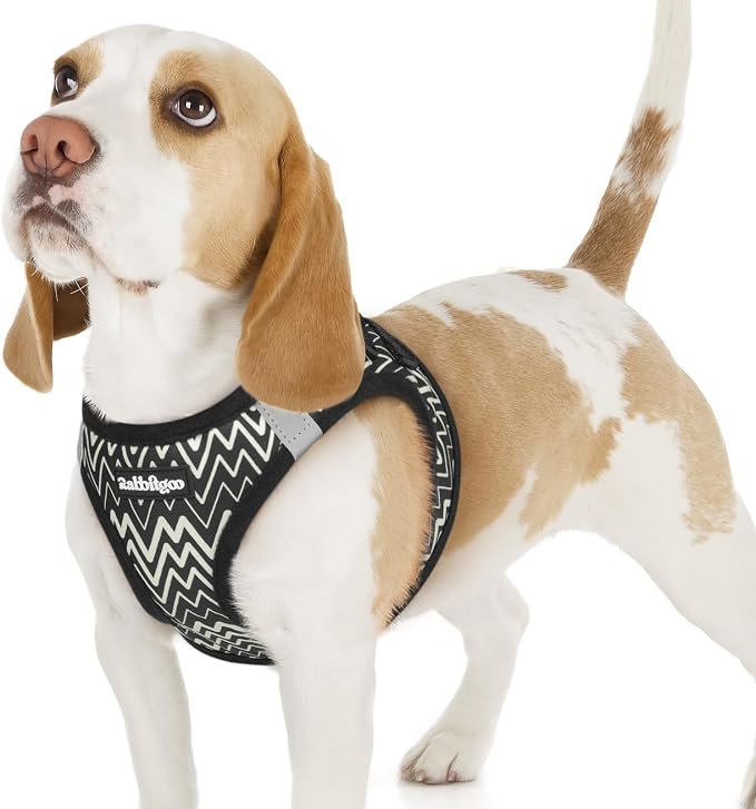 rabbitgoo Step-in Small Dog Harness, Puppy Vest for Small Sized Pet | Easy Put on and off, Lightweight, Soft, Breathable Quick-Dry Air Mesh for Comfortable Secure Walking, Black Zigzag M by rabbitgoo