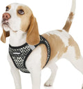 rabbitgoo Step-in Small Dog Harness, Puppy Vest for Small Sized Pet | Easy Put on and off, Lightweight, Soft, Breathable Quick-Dry Air Mesh for Comfortable Secure Walking, Black Zigzag M by rabbitgoo
