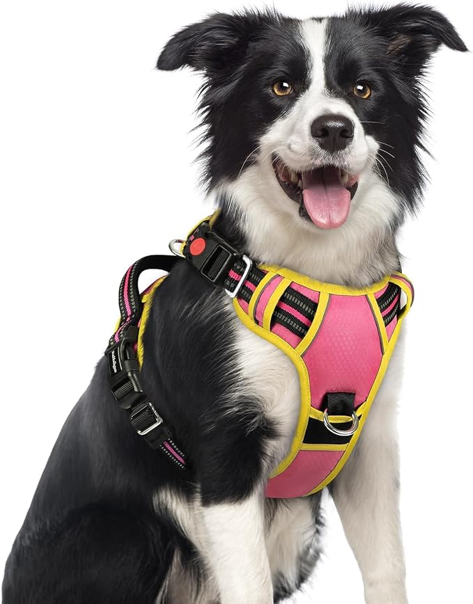 rabbitgoo Dog Harness Medium Sized, No Pull 3 Buckles Easy On & Off | Soft Padded, Walking with Control Handle, Adjustable and Reflective, Pink & Yellow, Medium by rabbitgoo