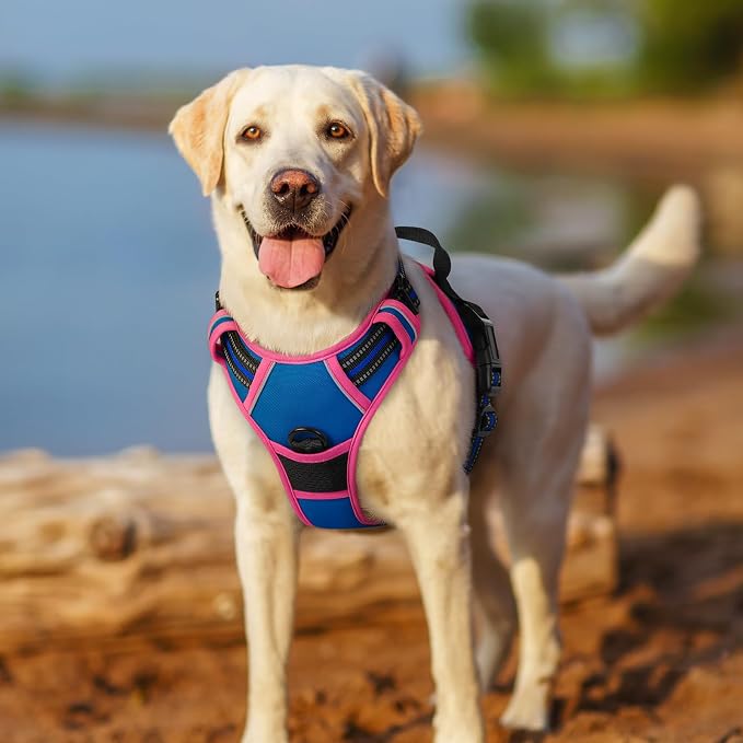 rabbitgoo Dog Harness, No Pull for Large Dogs with 2 Leash Clips, Pet Vest | No Choke with Handle, Adjustable Soft Padded, Reflective, Easy Control for Walking, Blue & Hot Pink, X-Large - Image 7