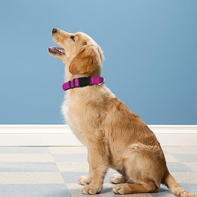 Reflective Dog Collar, Adjustable Soft Neoprene Padded,Rose Red,L | Breathable Nylon for Large Dogs,Tear-Resistant Webbing,Chafe‑Free on Walks and Hikes,Metal D-Ring,Night Safety - Image 2