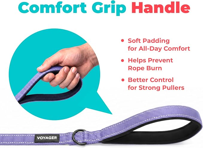 Best Pet Supplies Voyager Nylon Dog Leash - Lavender, Medium | 5ft in Length, 3/4" in Width, Reflective, Soft Neoprene Handle, Heavy Duty Metal Clips for Running, Walking & Training - Image 5