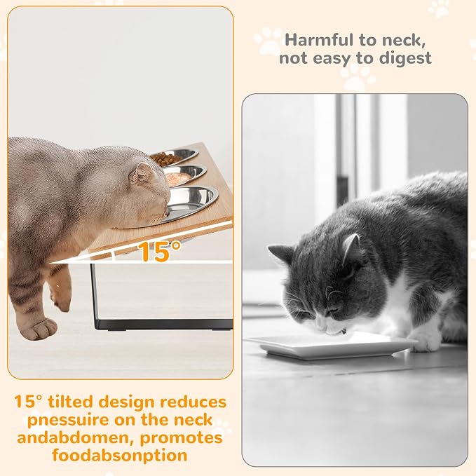 Elevated Cat Bowls with 3 Stainless Steel, 15° Tilted Raised Cat Bowl Set, for Indoor Cats for Small Cats and Puppies Pet Bowls with Stand - Image 2