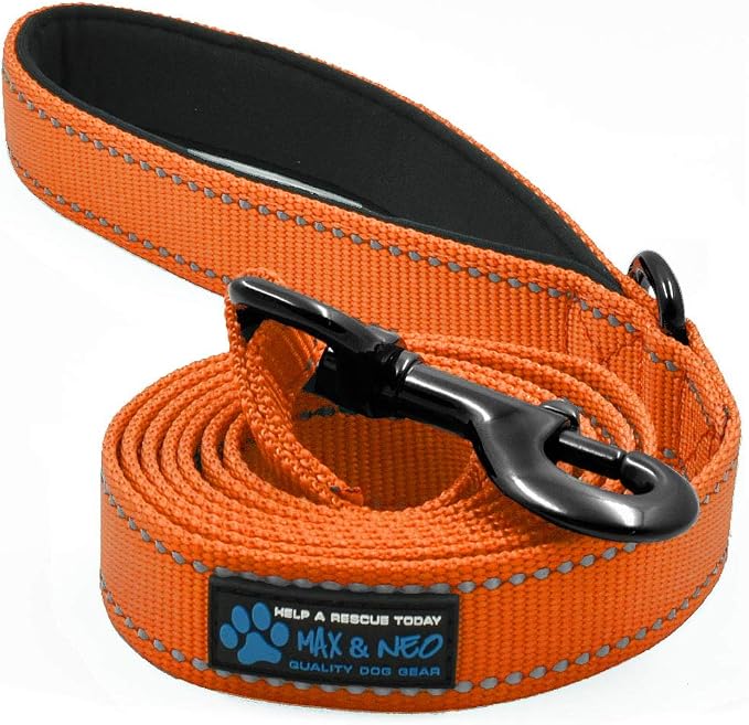 Max and Neo Small Dog Reflective Nylon Leash - We Donate One for Every Sold (Orange, 6x5/8) by MaxandNeo