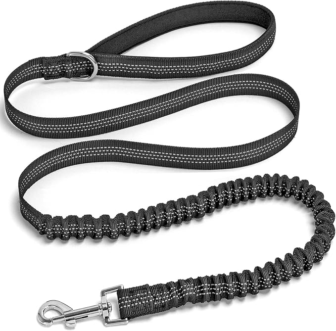 5FT Bungee Dog Leash Shock Absorbing Lightweight Small Medium Dogs | Reflective Nylon Lead 2cm Wide- Soft Handle- Anti-Pull Training- 6 Colors by Mycicy