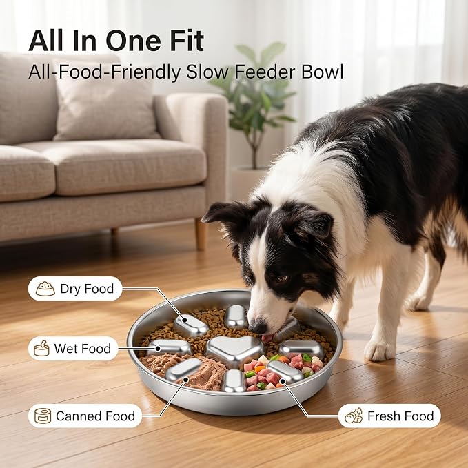 SHENLIU 2Pcs 304 Stainless Steel Slow Feeder Dog Bowl for Medium Large Dogs | 2 Cups Non-Slip Pet Bowl for Fast Eaters, Raised Design for Slow Eating & Digestive Health, Dishwasher Safe - Image 4