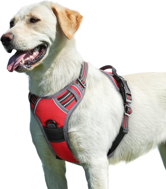 Eagloo Dog Harness for Large Dogs, No Pull Pet Vest with 2 Leash Clips | No Choke with Handle, Adjustable Comfort Fit, Reflective Strips, Easy Walking Control, Red, Large by GoExplorewithEagloo