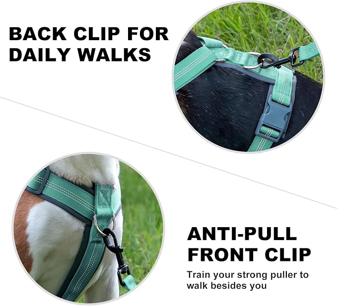 Plutus Pet No Pull Dog Harness, Adjustable Nylon Harness with Soft Padding | Reflective with Front Clip, Heavy Duty for Training and Walking, for Small Medium Large Dogs, Teal, M - Image 4