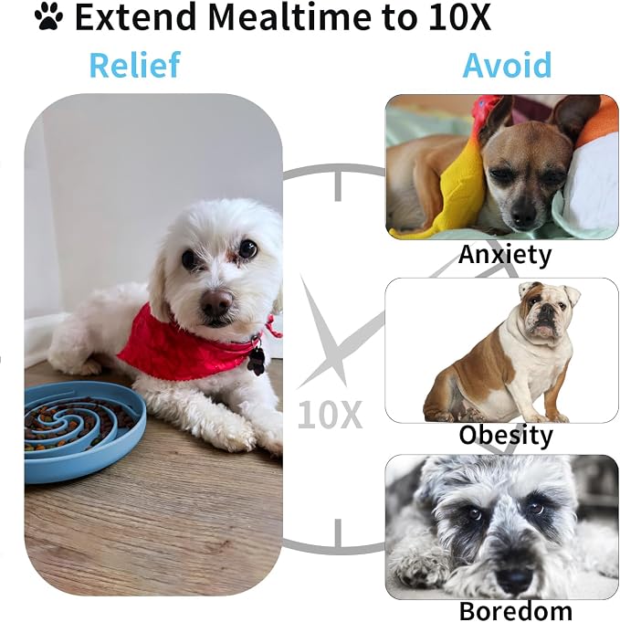 Bifeaw Slow Feeder Dog Bowls, Dishwasher Microwave Safe Silicone Puppy Puzzle Bowl with Non-Slip Design for Eating (Sky Blue) - Image 3