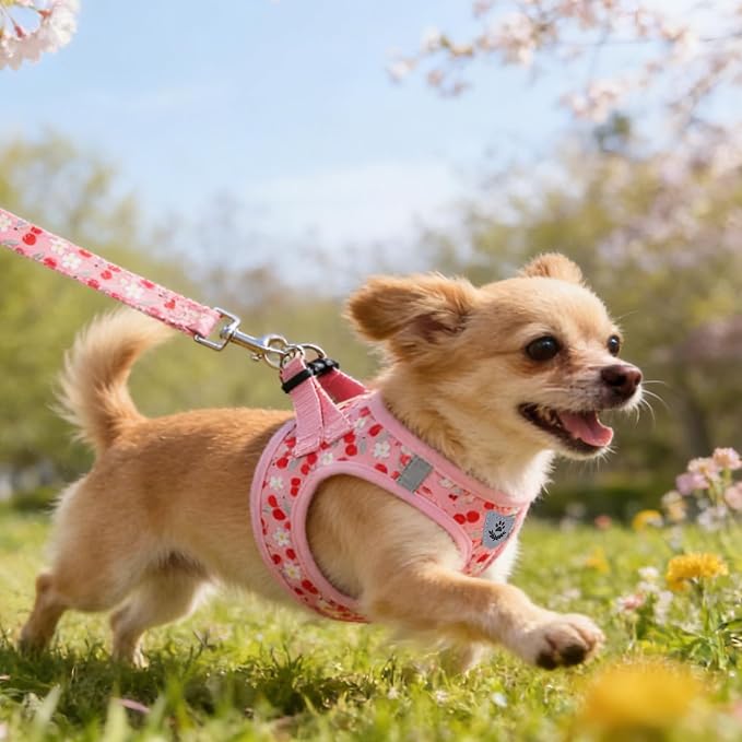 KOOLTAIL Dog Harness for Small Medium Dogs,Dog Harness and Leash Set, Step in No Pull Soft Mesh Padded Adjustable and Reflective Pet Vest Harness Puppy, Plaid Extra Harness for XS S Dogs,Pink Cherry,S - Image 3