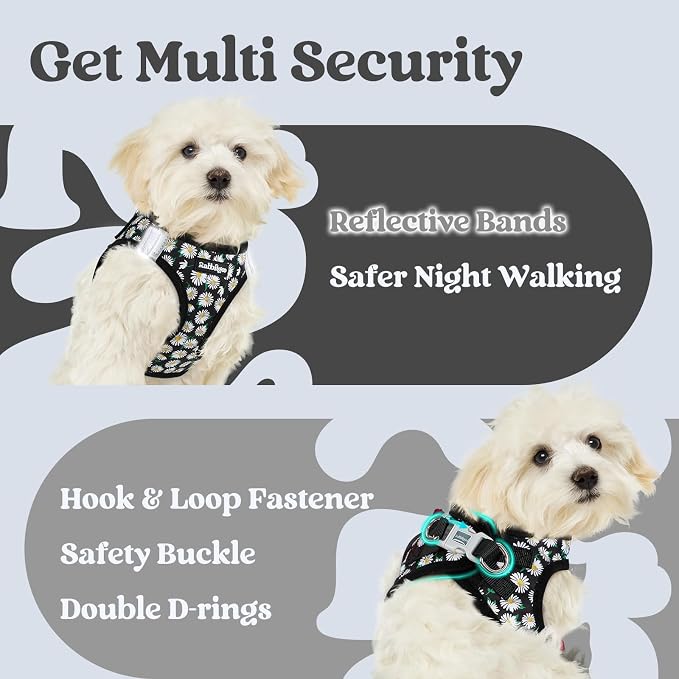 rabbitgoo Step-in Small Dog Harness, Puppy Vest for Small Sized Pet | Easy Put on and off, Lightweight, Soft, Breathable Quick-Dry Air Mesh for Comfortable Secure Walking, Midnight Daisy XXS - Image 8