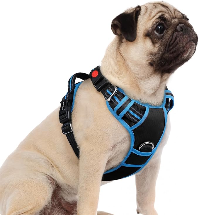 rabbitgoo Dog Harness Small Sized, No Pull 3 Buckles Easy On & Off | Soft Padded, Walking with Control Handle, Adjustable and Reflective, Black & Blue, Small by rabbitgoo