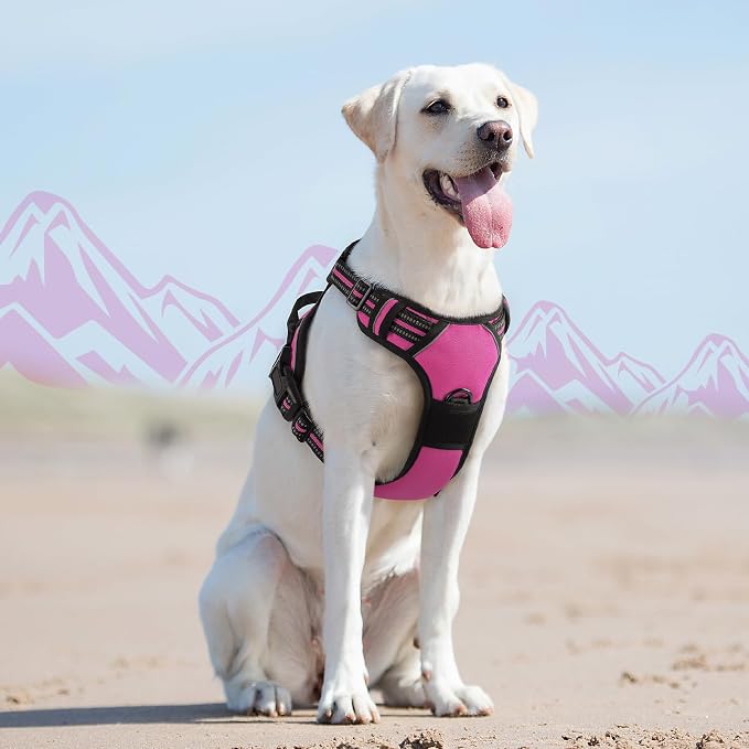 Eagloo Dog Harness for Large Dogs, No Pull Pet Vest with 2 Leash Clips | No Choke with Handle, Adjustable Comfort Fit, Reflective Strips, Easy Walking Control, Rose Red, Large - Image 8
