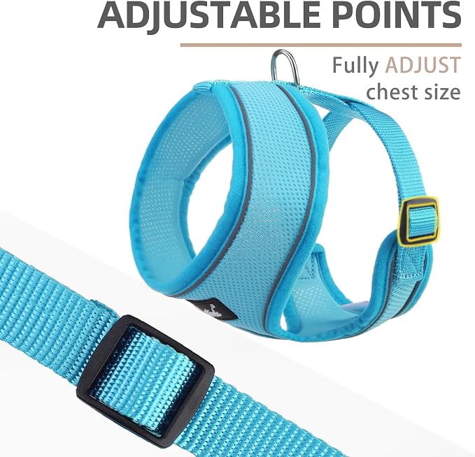 PUPTECK Small Dog Harness and Leash Set No Pull for XS XXS Sized Dogs Puppy | Escape Proof No Choke Pet Cat Adjustable Soft Padded Walking Vest - Image 3