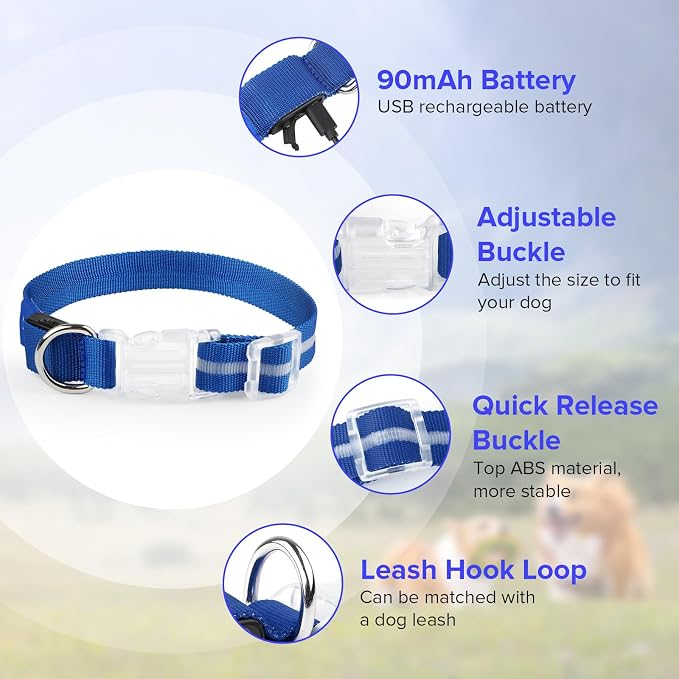 LED Dog Collar, Light Up Dog Collar USB-C Rechargeable Waterproof | 360° Visibility Light Up Dog Collar, Adjustable Nylon Collar with 3 Modes for Small Medium Large Dogs Night Walking Blue L - Image 3