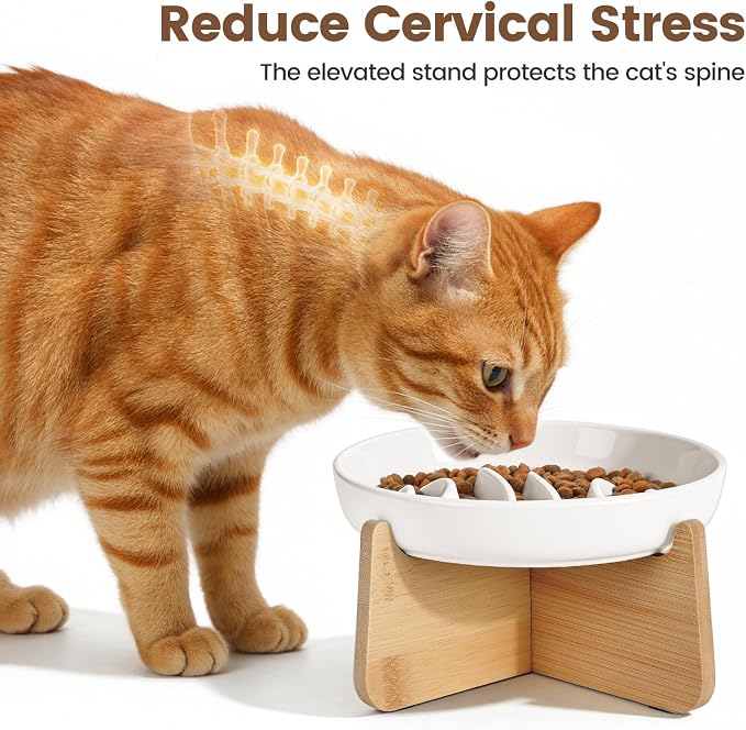 PETTOM Slow Feeder Cat Bowl Elevated Ceramic with Bamboo Stand, Raised Pet Puzzle Dishes for Indoor Cats Small Dog, Anti Vomit Cat Bowl for Wet & Dry Food - Image 3