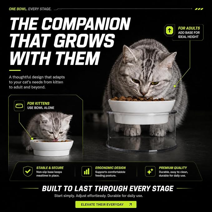 LivLab Mker Raised Cat Bowl, 15° Tilted, 4.5 in High, White | 15° tilted shallow melamine bowl on a 4.5 in raised stand supports comfortable feeding and reduces whisker contact. - Image 2