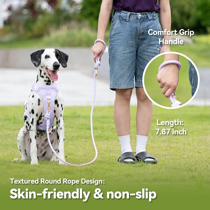 5FT Dog Leash Puppy Cat Rope Lead for Small Medium Large Dogs | Light Purple, with Anti-tangle Swivel Clip, Comfortable Non-slip Grip Handle, Ideal for Daily Walks and Training - Image 4