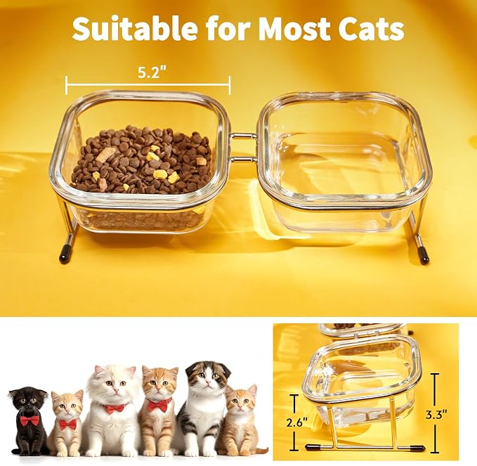 Elevated Cat Bowls, 15° Tilted Glass Raised Cat Food and Water Bowl | Stainless Steel Stand, 2 Large Capacity Glass Cat Bowls and 4 Anti Slip Feet, Suitable for Cats and Little Dogs - Image 7