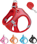 XXXS Red Soft Mesh Dog Harness and Leash Set,No Escape Puppy Harnesses for Training Walking， Reflective Adjustable Puppy Vest for Small Medium Dogs, Cats (Red, XXXS) by Unknown