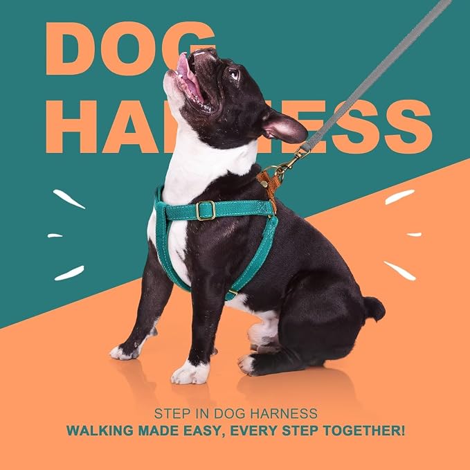 Step in Dog Harnes for Small Dogs, Blue, S, Chest 14-22" | Freedom Nylon Dog Halter Vests with Metal Buckles, Easy On and Off, Adjustable Straps, Escape-Proof, Easy Walking Training - Image 5