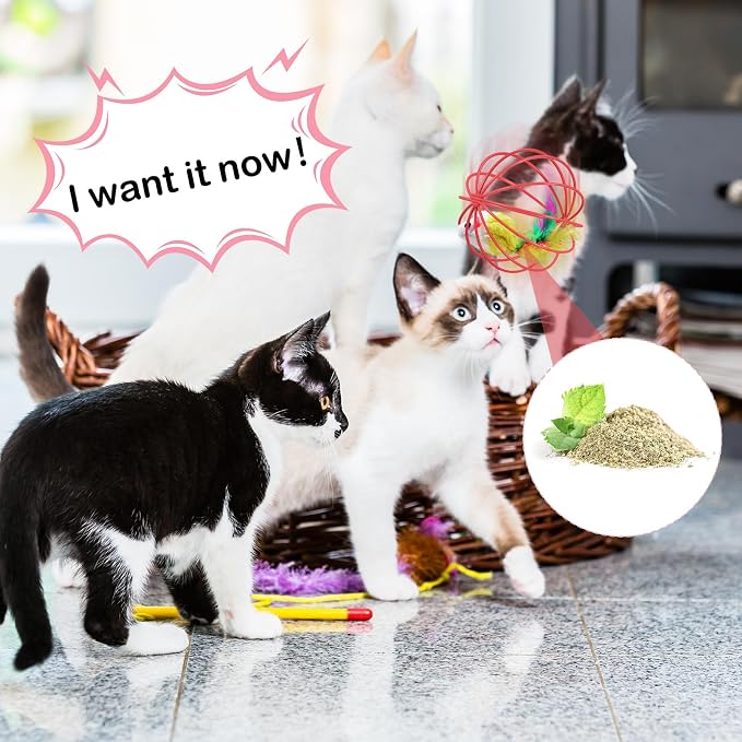 Jecery 5 Pcs Cat Toys Spring,Metal Cage,Multicolor | Interactive Metal Cat Toy, Stretchable Rolling Ball, for Indoor Cats, Colorful Playful Coils, Kitten Pet Supplies - Image 5