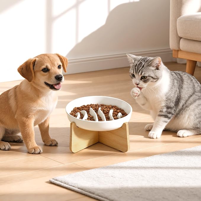 PETTOM Slow Feeder Cat Bowl Elevated Ceramic with Bamboo Stand, Raised Pet Puzzle Dishes for Indoor Cats Small Dog, Anti Vomit Cat Bowl for Wet & Dry Food - Image 8