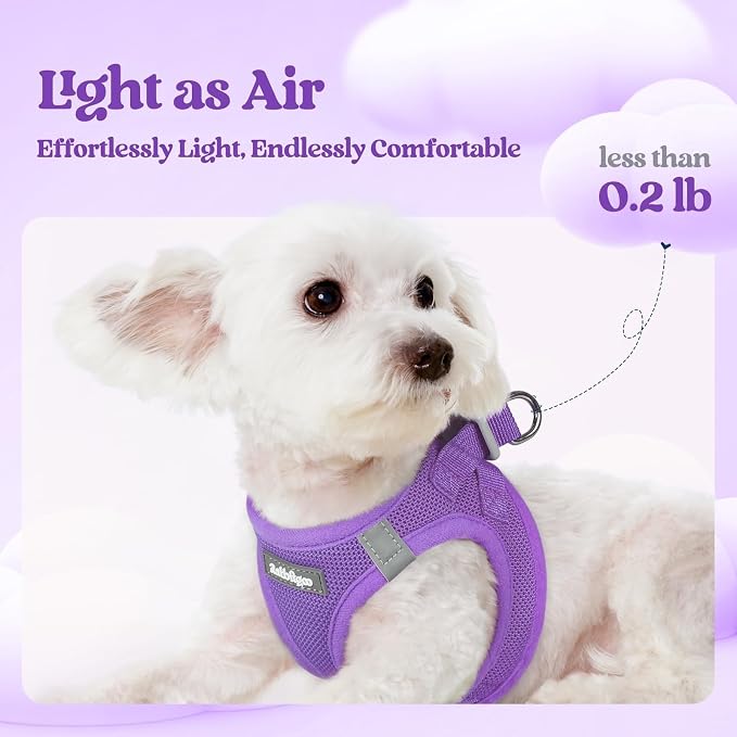 rabbitgoo Dog Harness Small Sized and Leash Set, Step-in Puppy Pet Vest | Light, Soft, Breathable Air Mesh, Easy on and Remove with Hook & Loop, Secure Reflective for Walking, Purple M - Image 3