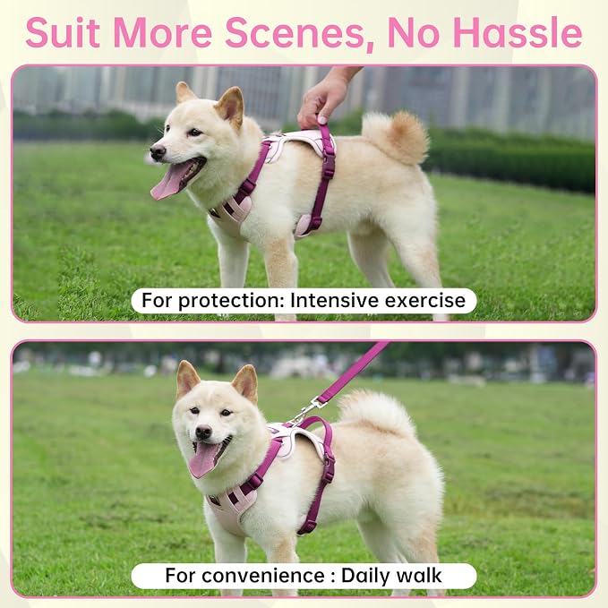 Dog Harness and Leash Set with Collar, No Pull Reflective Pet Vest Harness with Control Handle for Medium Large Dogs Walking and Training - Image 7