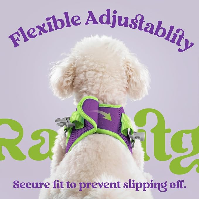 rabbitgoo Dog Harness Small Sized and Leash Set, Step in Soft Vest | Breathable Mesh, Easy Wear with Hook & Loop, Light and Reflective for Walking, Multi-colored, Purple & Green, XS - Image 5