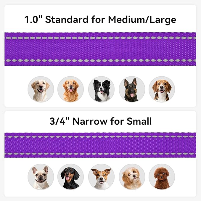 Joytale Reflective Dog Leash for Medium & Large Dogs, 4 FT x 1", Purple | Heavy Duty Nylon Webbing, Padded Handle for Comfort, Visible at Night, for Walking & Training - Image 6