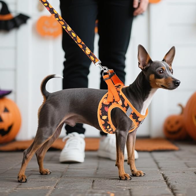 KOOLTAIL Fall Dog Harness and Leash Set for Small Medium Dogs, Thanksgiving Step in No Pull Comfort Padded Pet Vest, Adjustable Reflective Easy Walking Puppy Cats Harness Training, Leaf & Pumpkin M - Image 7