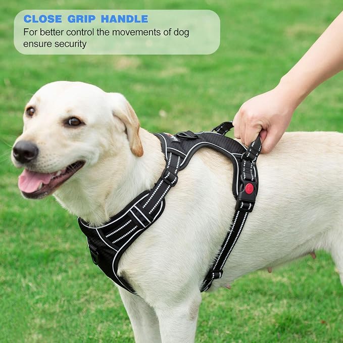 tobeDRI No Pull Dog Harness Adjustable Reflective Oxford Easy Control Medium Large Dog Harness with A Free Heavy Duty 5ft Dog Leash, Pink/Blue, XL - Image 5