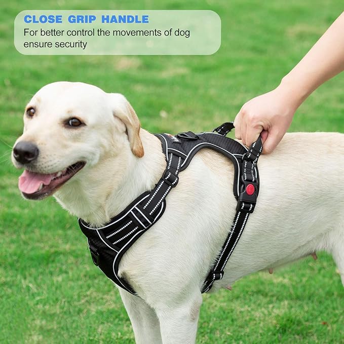 tobeDRI No Pull Dog Harness Adjustable Reflective Oxford Easy Control Medium Large Dog Harness with A Free Heavy Duty 5ft Dog Leash, Blue/Grey, XL - Image 5
