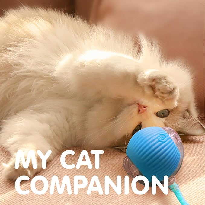 Rocfish Durable Interactive Cat Toys for Indoor Cats (Blue, 01) | Smart Automatic Cat Chase Ball Toy, Upgraded Speedy Tail Kitten Toy for Bored Indoor Adult Pets - Image 8
