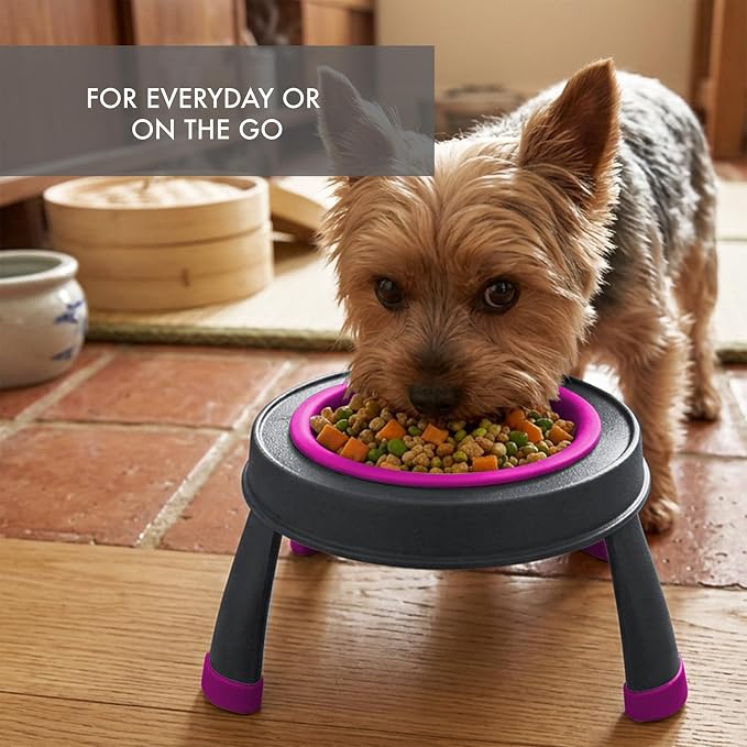 Dexas Pets Elevated Pet Feeder, Small, 1.5 Cup Capacity, Fuchsia, Raised Pet Food and Water Bowl - Image 4