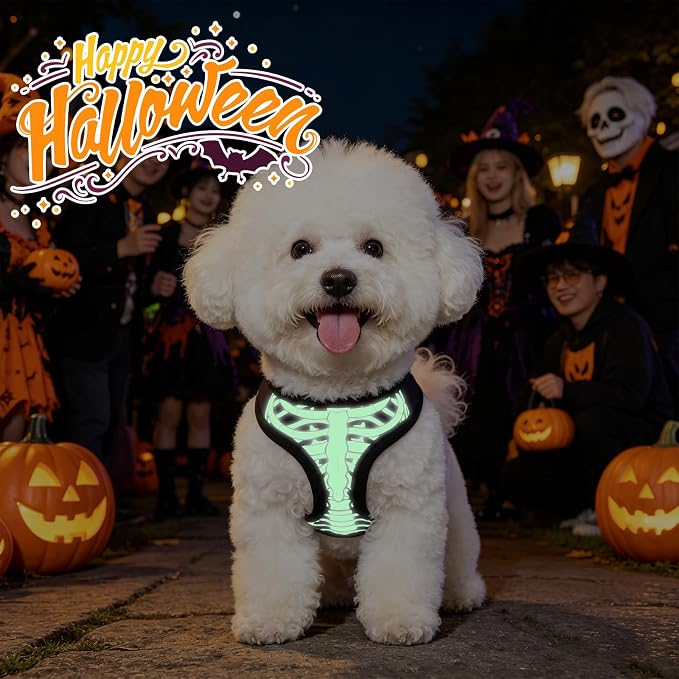 KOOLTAIL Halloween Dog Harness and Leash Set for Small Medium Dogs,Step in No Pull Soft Mesh Comfort Padded Pet Vest Harness,Glow-in-Dark Skeleton Design Easy Walking Puppy&Cat Harness for Holiday M - Image 4