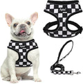 PUPTECK Small Dog Harness and Leash Set No Pull for XS XXS Sized Dogs Puppy | Escape Proof No Choke Pet Cat Adjustable Soft Padded Walking Vest by PUPTECK