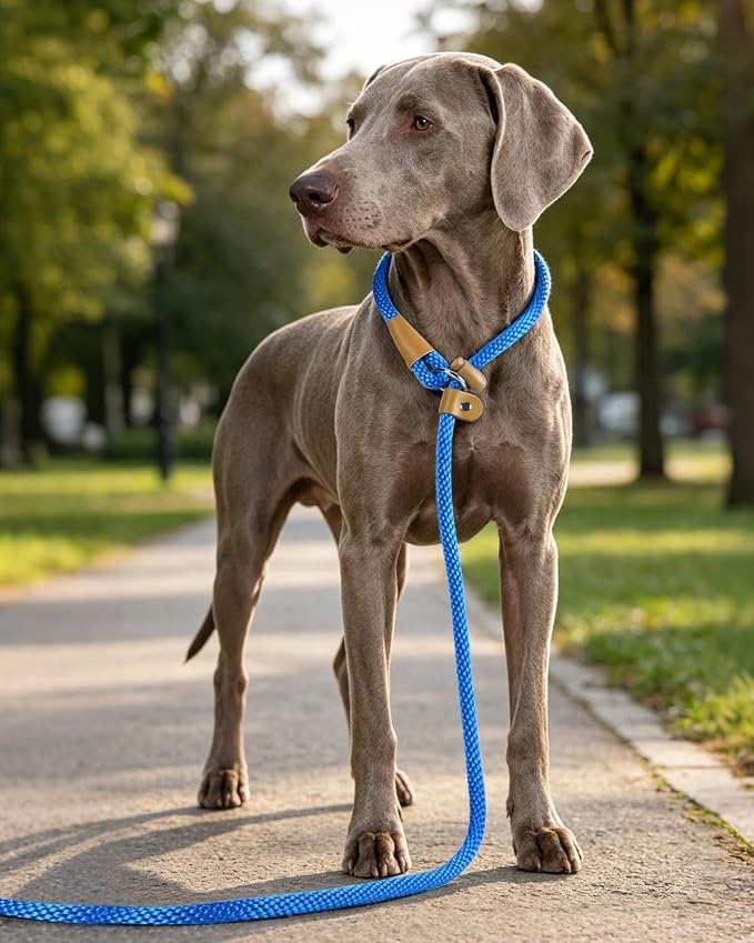 Dog Leash Slip Lead Braided Rope Pet Training Loop Leashes 5ft 6ft 8ft | Lynxking Strong Heavy Duty 1/2" 3/8", Durable Padded Handle No Pull Basic Training Nylon Lead,Small Medium Large Dogs Puppy - Image 8