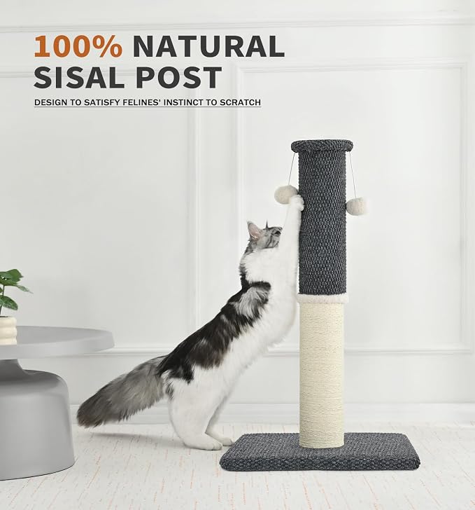 Made4Pets Tall Cat Scratching Post with Sisal & Carpet for Indoor Cats, 33" | Cat Scratcher with Wide Stable Base, Interactive Hanging Toys, Ideal for Adult Cats, Large Breeds and Full-Body Stretching - Image 8