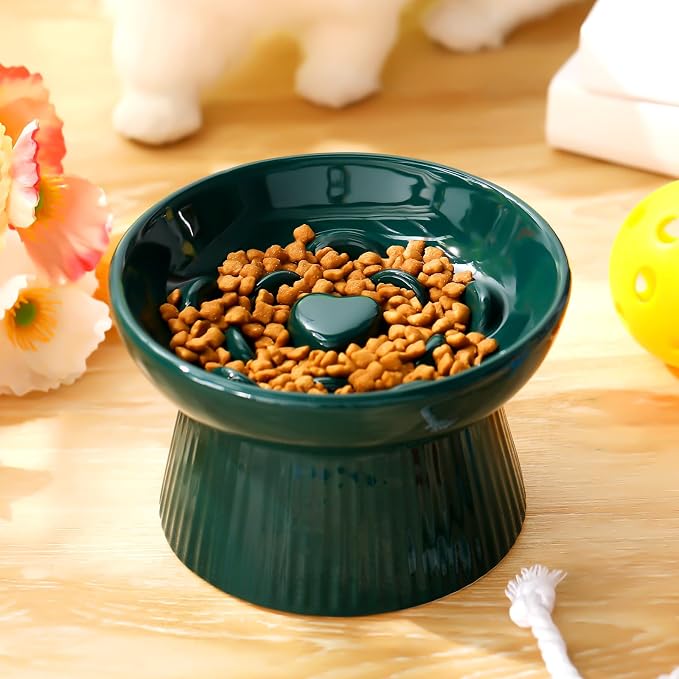 Tioncy 1 Pcs Ceramic Elevated Slow Feeder Cat Bowl, Raised Cat Slow Feeder Bowl, Anti Vomiting for Dry and Wet Food, No Spill High Edge Easy Clean Dishwasher Safe (Dark Green) - Image 5
