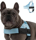 Dog Friendly Co. Dog Harness for Medium Dogs (Sky Blue, Medium) | One Click Buckle, Chafe Resistant Webbing, Adjustable Neck & Chest, and Heavy Duty D-Ring, Sturdy Comfortable and Easy to Use by DogFriendly
