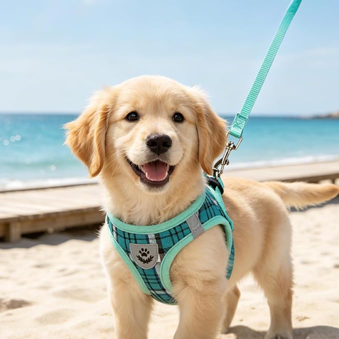 PUPTECK Dog Harness, Collar and Leash Set No Pull for Small Medium Sized | Plaid Puppy Step-in Escape Proof Reflective No Choke Pet Cat Adjustable Walking Vest - Image 9