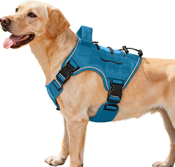 Heavy-Duty Tactical Dog Harness for Large Dogs, No Pull Adjustable Reflective Pet Vest with Molle System, K9 Military-Grade Control for Service Training, Outdoor & 10+ Breeds, Blue, Medium by Bruvoalon