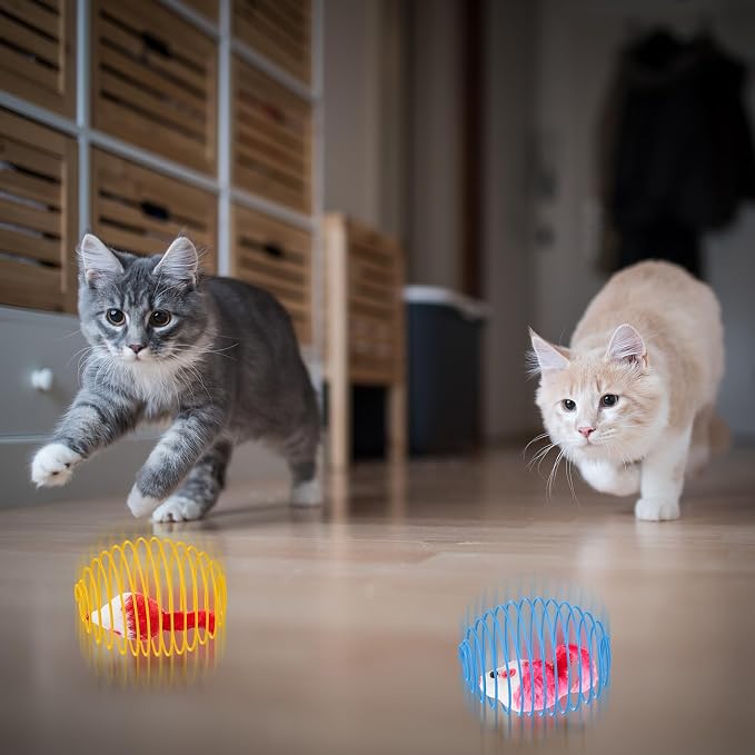 Jecery 5 Pcs Cat Toys Spring,Mouse,Bright Color | Interactive Metal Cat Toy, Stretchable Rolling Ball, for Indoor Cats, Colorful Playful Coils, Kitten Pet Supplies - Image 6